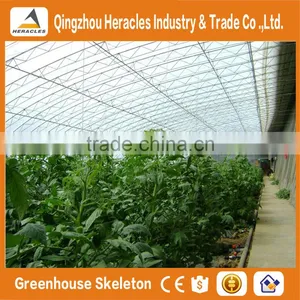 Heracles Low Cost Sunlight Indoor Greenhouse thumbnail-6