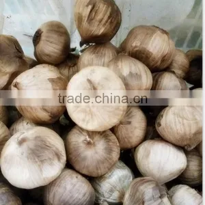 Fermentation Box Black Garlic Improves Lipids thumbnail-6