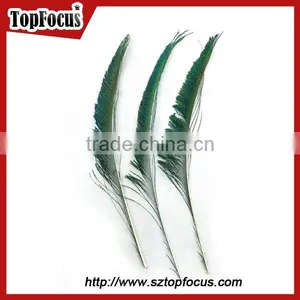 Wedding Dresses Decoration Indian Wholesale Natural Peacock Feather thumbnail-2