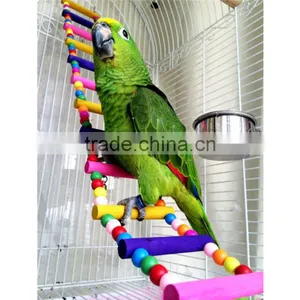 Newest Colorful Climbing Ladder Pet Bird Ladder Macaw Cockatiel Parrot Hamster Wood Ladder Climb Bell Swing Bite Toy thumbnail-1