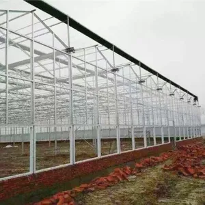 Agricultural Glass Greenhouse for Planting/Hydroponic Planting thumbnail-3
