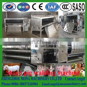 Pig Abattoir Pig Hydraulic Shaved Machine With Good Service thumbnail-5