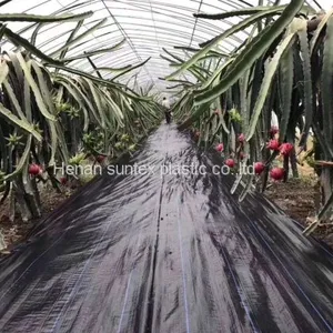 2*100m 100gsm Black Weed Control Mat,orchard Tree Ground Cover Anti Weed Mat,PP Material Agricultural Weed Barrier Mat thumbnail-4