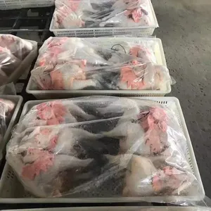 China Wholesale Best Selling Frozen Whole Raw Chicken Black Feet Chicken thumbnail-2