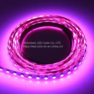 84 Leds/m Smd 5050 Rgbww 12mm Led Strip Light for Holiday Decoration thumbnail-1