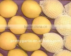 Juicy Yellow Golden Pear thumbnail-1