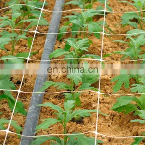Extrude Strong Plant Support Climbing Fencing Trellis Netting thumbnail-2