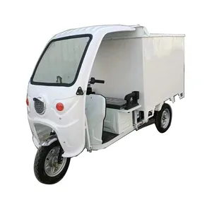 1.2KW 1KW 60-72V Electric Tricycle for Delivery Carrier 3 Wheel Motorcycle Rickshaw Tuk Tuk EV Trike thumbnail-1