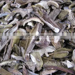 Market Prices For Boletus thumbnail-6