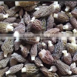 Price of Black Morel Mushroom thumbnail-5