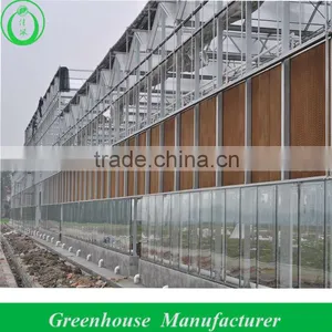 Large Glass Commercial Hot House thumbnail-1