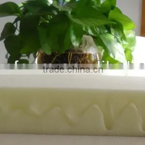 Egg Foam thumbnail-3
