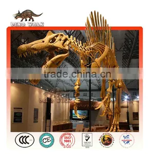 Life Size Dinosaur Fossil and Skeleton Model thumbnail-1