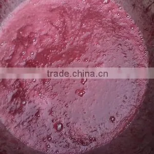 Wide Output Range Full Stainless Steel Peaches Pulping Machine thumbnail-5