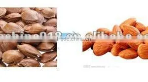 900kg/h Almond Cracking Machine thumbnail-1