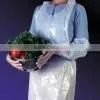 Disposable pe Apron thumbnail-1