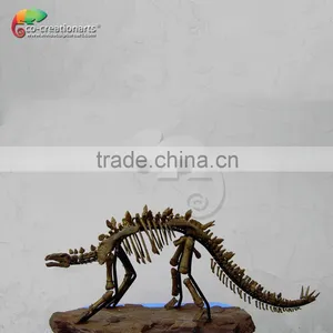 Dinosaur Fossil Replica for Dinosaur Museum Educational Sample thumbnail-1