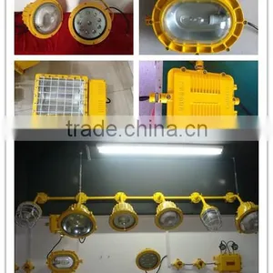 High Quality Low Price China Manufacturer Plateform Explosion Proof Lamp thumbnail-6