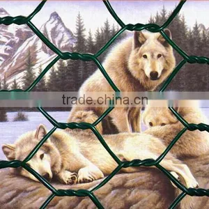 Hexagonal Mesh thumbnail-4