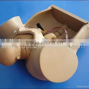 Birth Giving Model Medical Model Training Model thumbnail-4