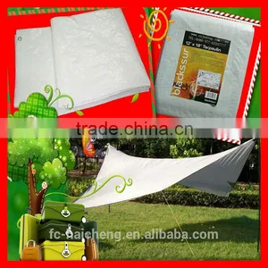 Well Plastic Poly Tarp Shelter Sheet thumbnail-1