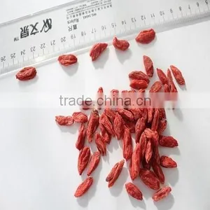NingXia Dried Fresh Red Goji Berry Golden Supplier thumbnail-1