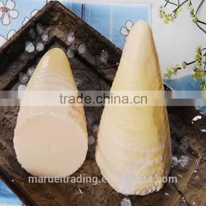 Boiled Bamboo Shoots thumbnail-3