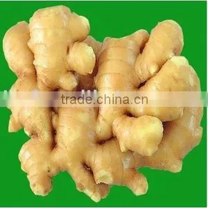 Dehydrated Ginger Flakes, Minced, Powder 693 thumbnail-1