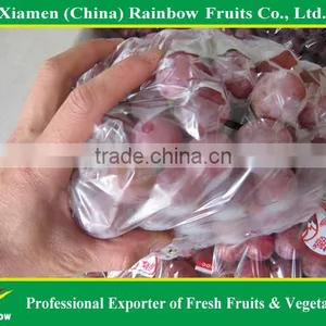 Grapes From China With Sweet Taste thumbnail-1