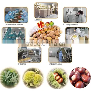 Frozen Peeled Chestnuts, IQF Chestnut, Quick Freezing Chestnuts thumbnail-5