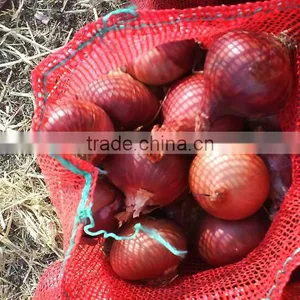 Red Onion thumbnail-2