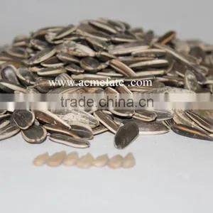 Top Quantity Chinese Sunflower Oil Seeds in Shell 5009 With Market Price thumbnail-6