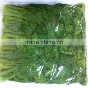 Aralia Elate Seem in Drum Boiled Aralia Elate Seem in Bag Boil Vegetables thumbnail-2