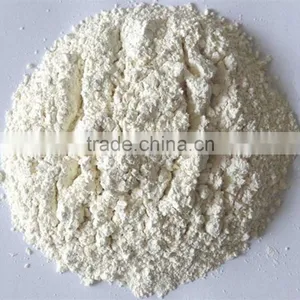 China Top 8 Manufacturer White Garlic Poeder in Grade A Quality for UK, Israel Market thumbnail-1