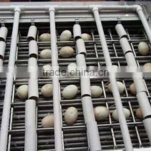 FT-200 Electrical Hen Egg Shelling Machine thumbnail-5