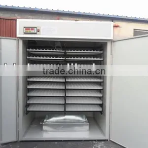 High Quality Hot Selling Used Chicken Egg Incubator for Sale Chicken Egg Incubator thumbnail-4