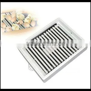 Chicken Mini Egg Incubator High Rate of Hatched thumbnail-1