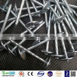 Best Quanlity 2.5 Inch and 3 Inch Roofing Nails thumbnail-6