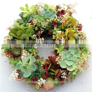 Ring Wet Floral Foam, Ring Florist Foam, Ring Round Flower Mud for Flower Decoration thumbnail-1