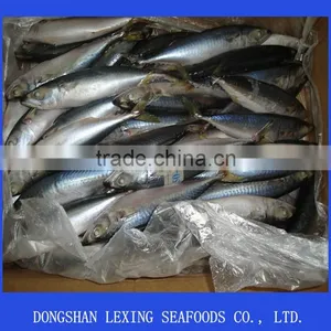 Fish Pacific Mackerel thumbnail-1