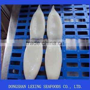 Squid Tube,Todarodes Pacificus thumbnail-1