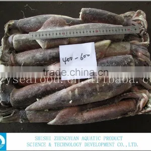 Frozen Illex Argentinus Squid thumbnail-3