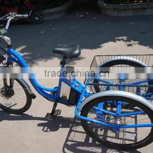3 Wheel Electric Trike Electric Cargo Trike for Sale thumbnail-1
