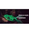 Frog B thumbnail-1