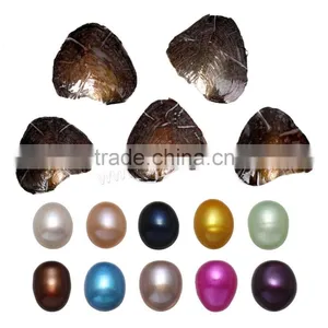 Raw Pearls Freshwater Cultured Love Wish 7.5-8mm Rice Pearl Oyster thumbnail-1