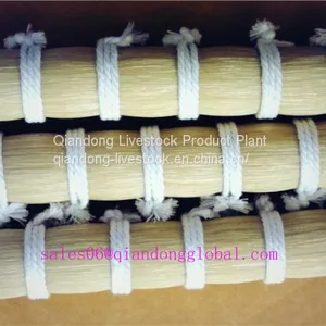 White Horse Tail Hair thumbnail-2