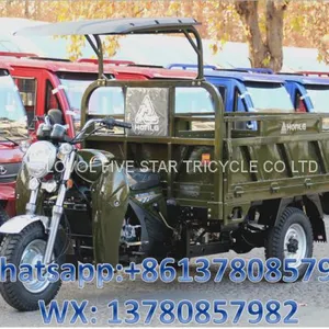 Gasoline Tricycle Cargo Loader Lovol Three Wheeler Mali Ethiopia Ghana Bukina Faso Tanzania Kenya Senegal Togo Benin Nigeira Mauritania Angola Burundi Chad Cameroon C ô te D'Ivoire Gabon Guinea Mozambique Rwanda Congo Uganda Zimbabwe thumbnail-1