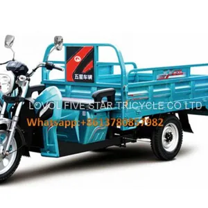 Gasoline Tricycle Cargo Loader Lovol Three Wheeler Mali Ethiopia Ghana Bukina Faso Tanzania Kenya Senegal Togo Benin Nigeira Mauritania Angola Burundi Chad Cameroon C ô te D'Ivoire Gabon Guinea Mozambique Rwanda Congo Uganda Zimbabwe thumbnail-1