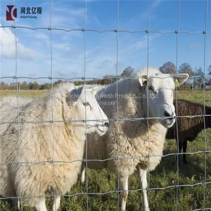 Surrounding Type Metal Fence for Grassland /field Fence Attractive Appearance thumbnail-1