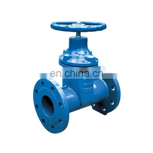 50mm Ductile Cast Iron Ggg50 Manual Slide DIN 3355 F5 Metal Seated Gate Valve PN16 thumbnail-1